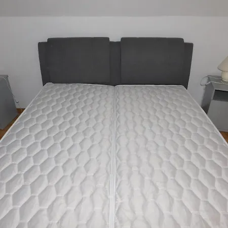 Akacfa Hortenzia * זלקרוס